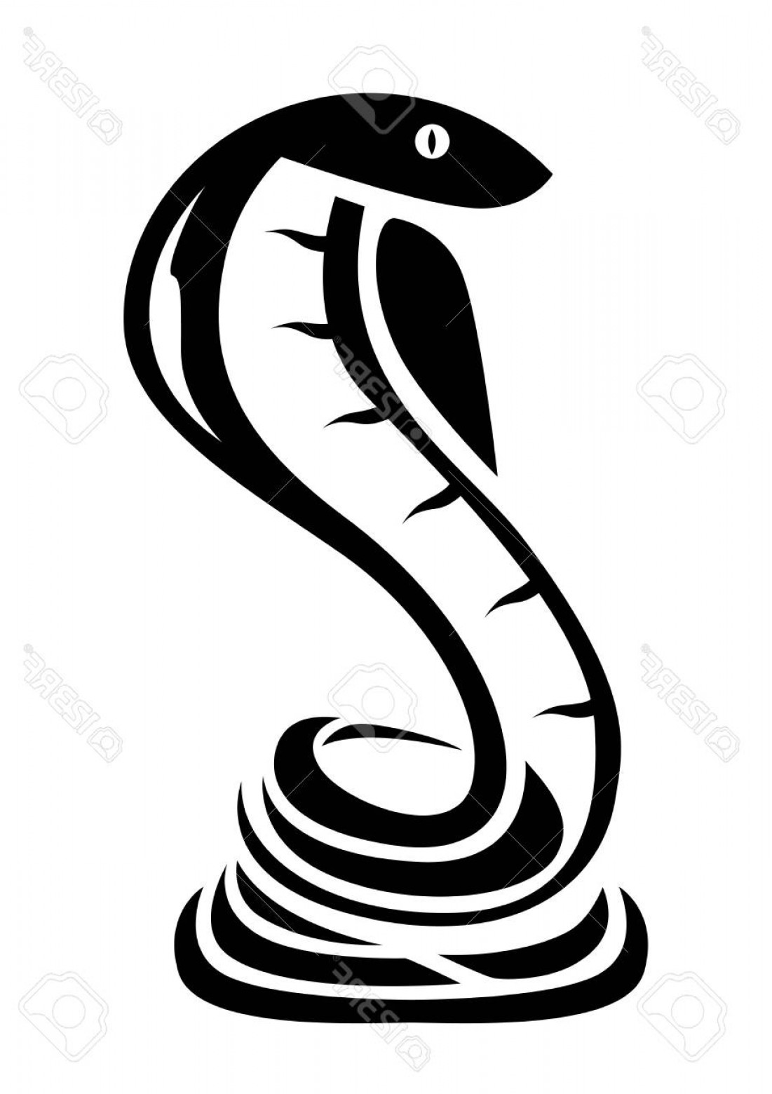 1101x1560 Photostock Vector Snake Vector Design Logo Icon Banner Sticker
