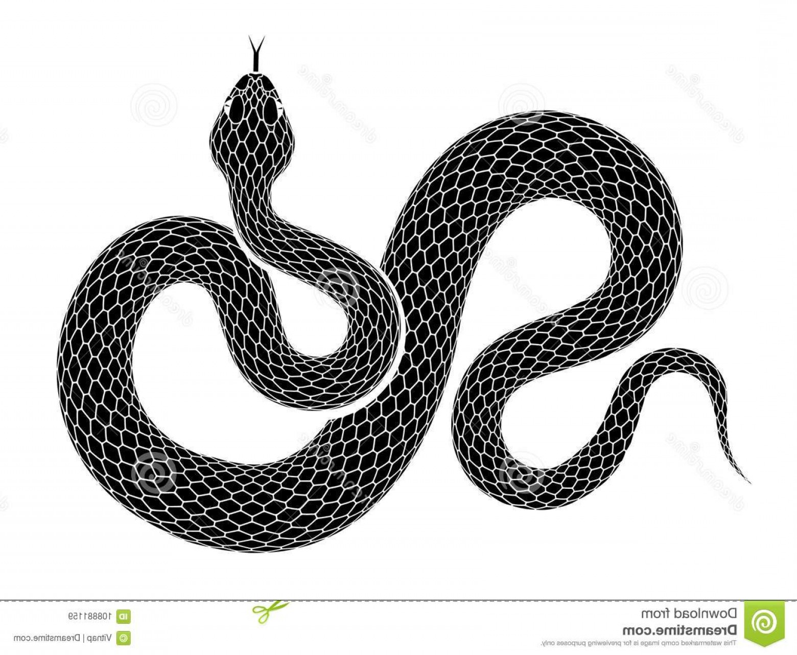 1560x1281 Snake Outline Illustration Black Serpent Isolated White Background
