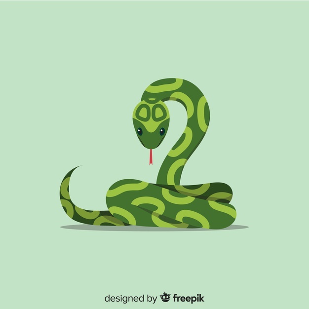 626x626 Snake Vectors, Photos And Free Download
