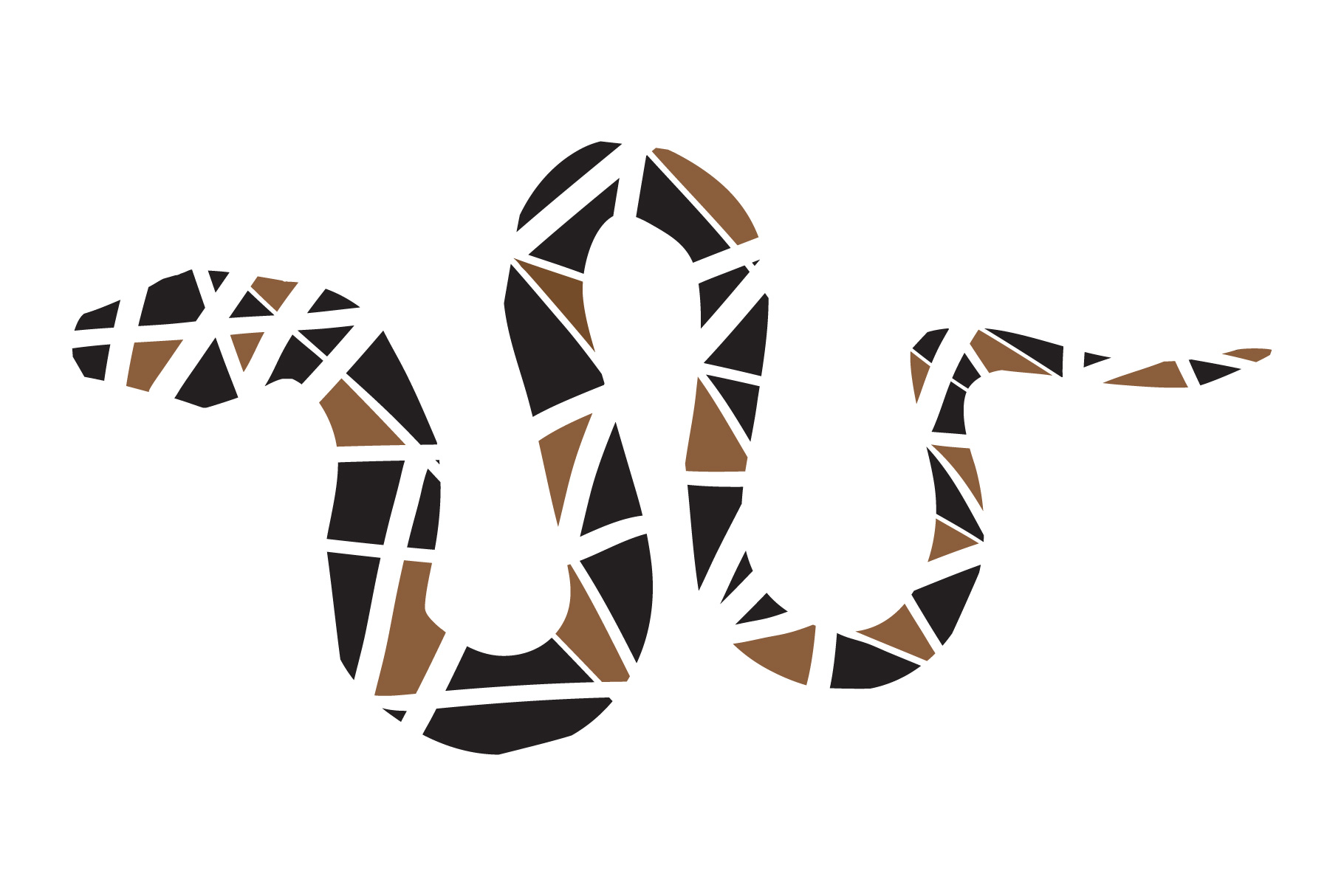 1820x1214 Snake Snake Vector Illustration