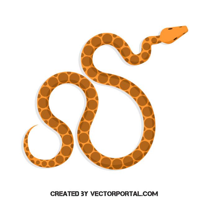 660x660 Snake Free Vectors Downloads Found