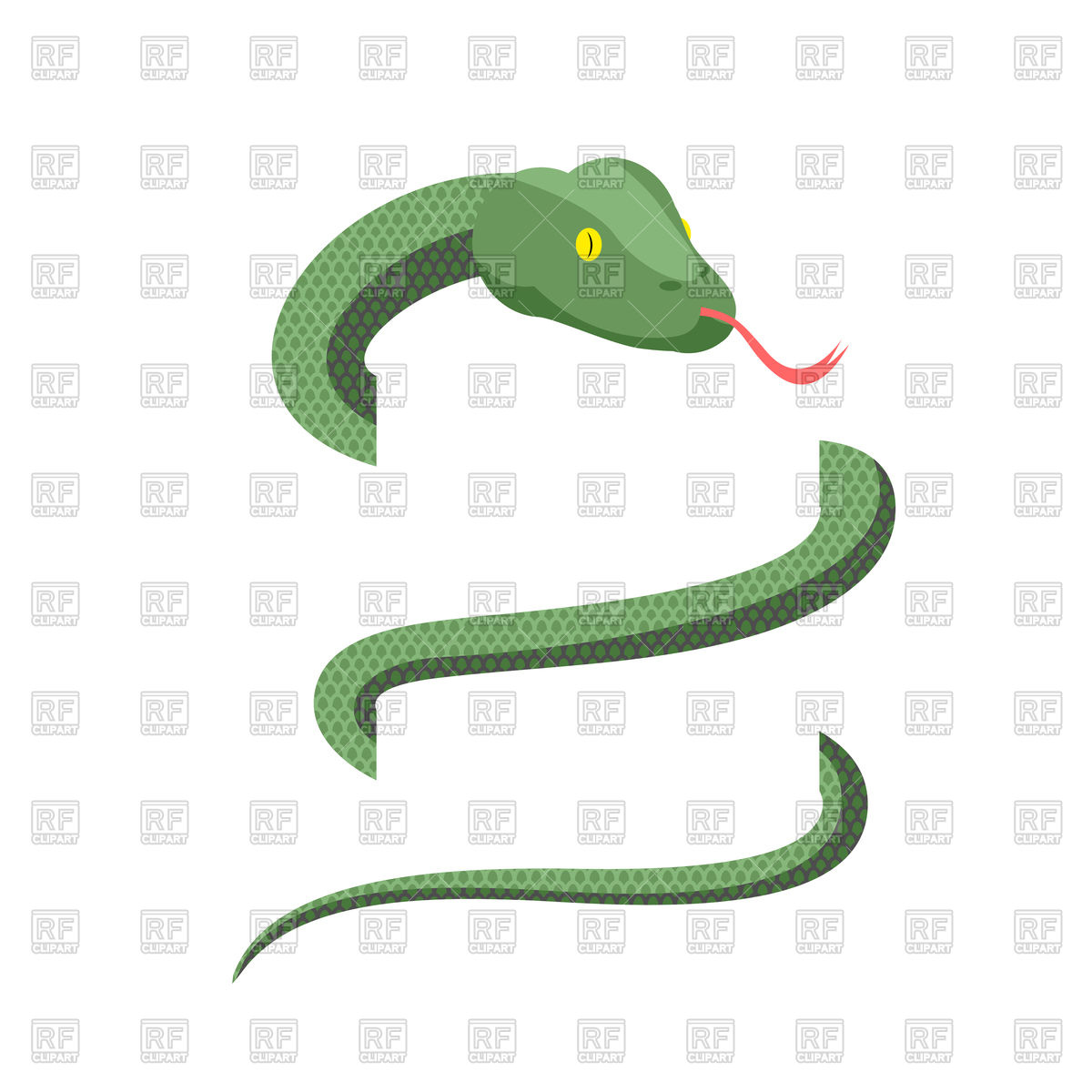 1200x1200 Green Snake, Cobra On White Background Vector Image Of Plants