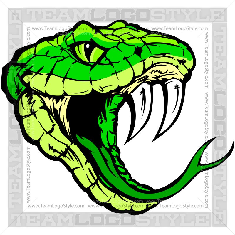 800x800 Snake Vector Art