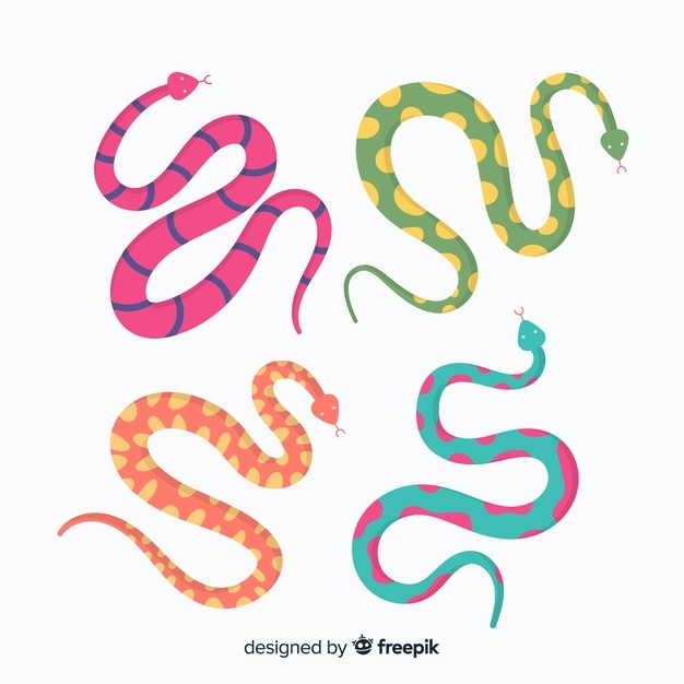 626x626 Snake Vectors, Photos And Free Download