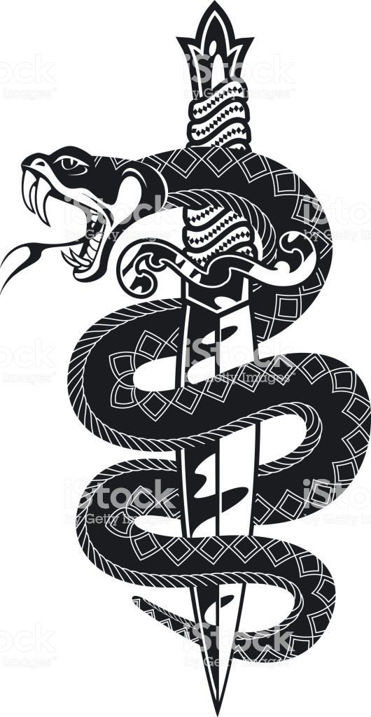 530x1024 Snake And Dagger Tattoo's Snake, Dagger Tattoo, Tattoos, Snake