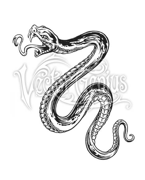 468x580 Hand Drawn Tattoo Style Snake Clipart