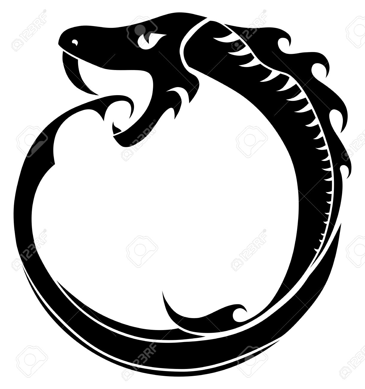 Snake Vector Free