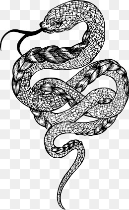 260x422 Download Free Png Coiled Snake, Vector, Magic