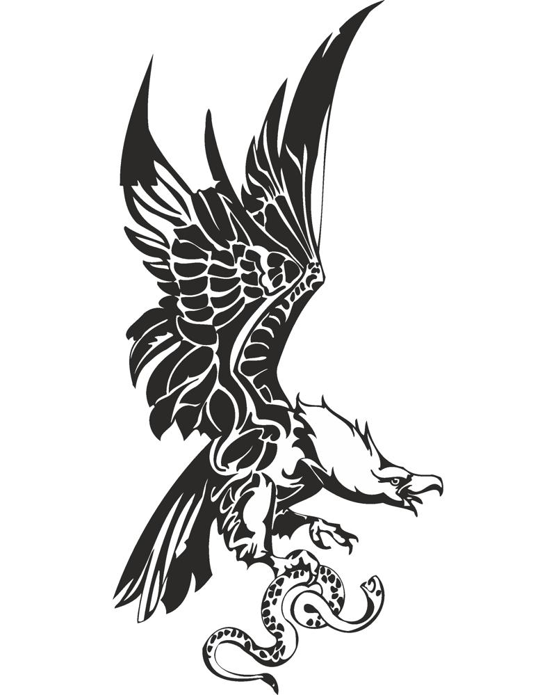 800x999 Eagle With Snake In Claws Vector Free Vector Cdr Free Download