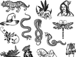 310x233 Free Snake Vector Pack Free Vectors Ui Download