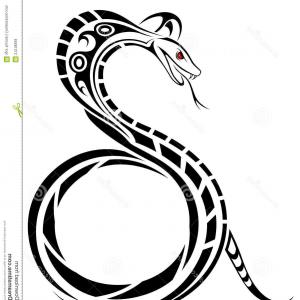 300x300 Royalty Free Stock Images Vector Snake Image Hoodamathrun