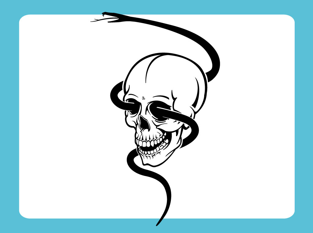 1024x765 Skull With Snake Vector Vector Art Graphics