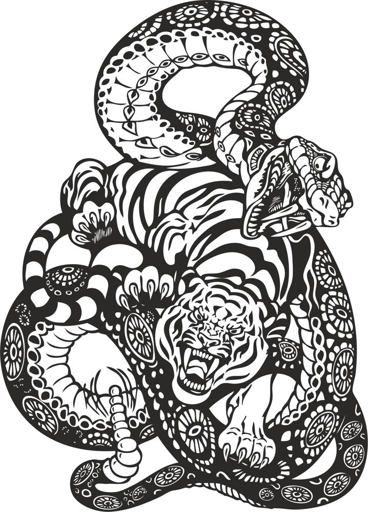 718x1000 Snake And Tiger Fight Vector Art Free Vector Free Download
