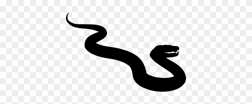 840x346 Snake Vector