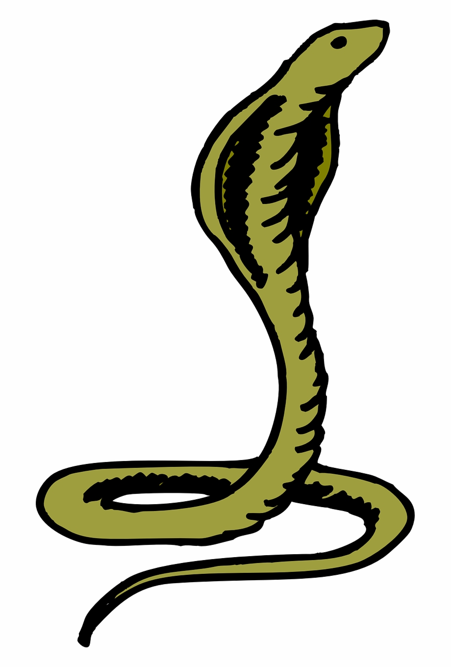 920x1360 Snake Vector Cobra