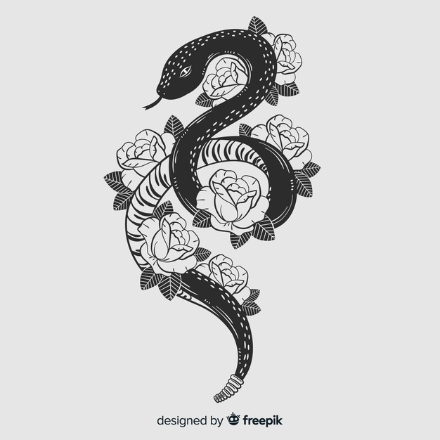 626x626 Snake Vectors, Photos And Free Download
