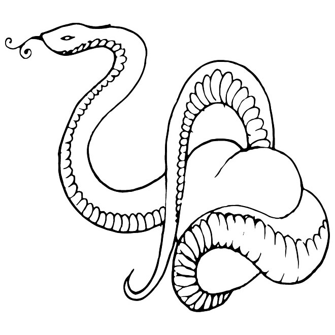 660x660 Snake Free Vector Free Vectors Ui Download