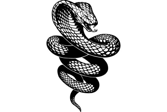 570x381 Image Cobra Snake Png Black And White Vector, Clipart
