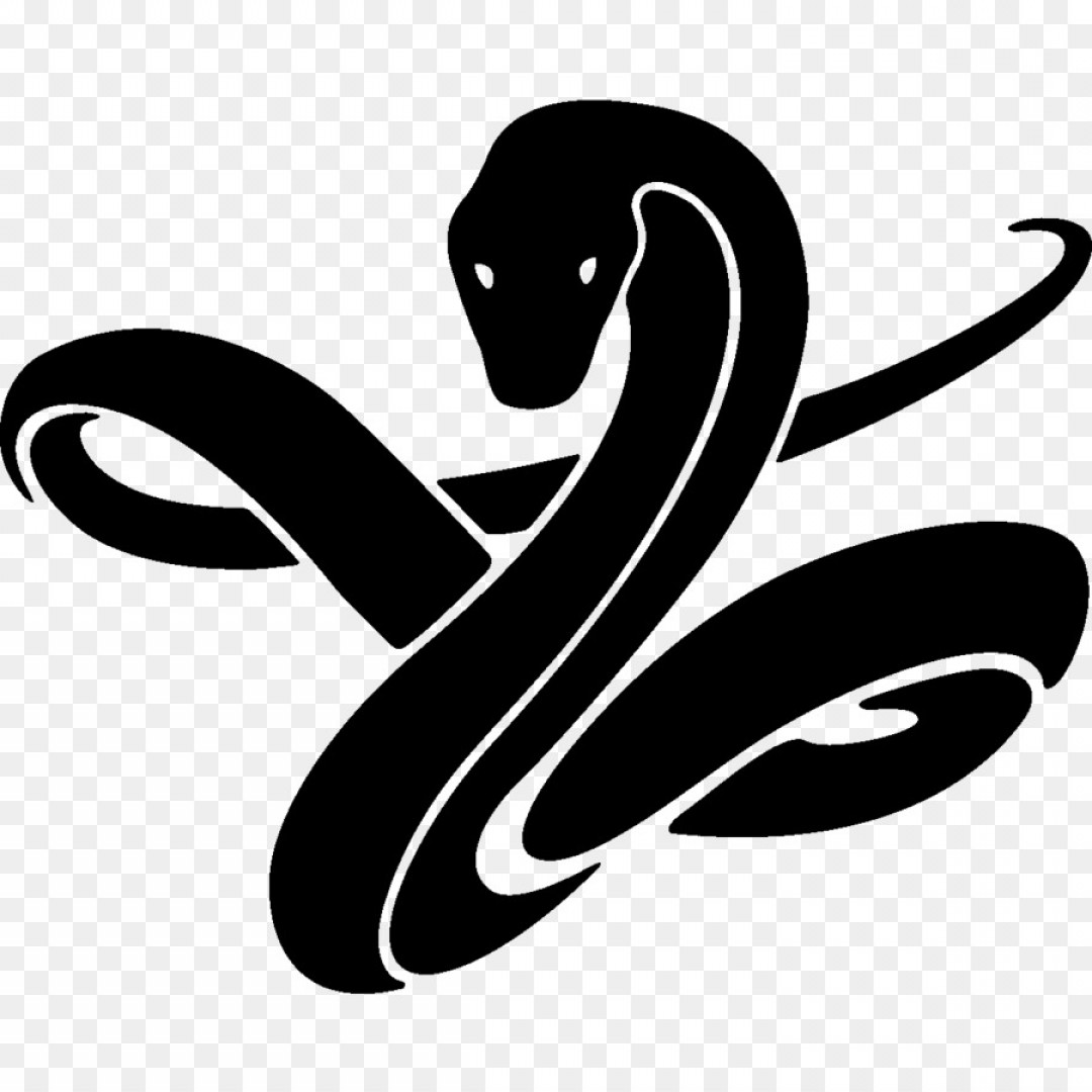 Snake Vector Png at Vectorified.com | Collection of Snake Vector Png ...