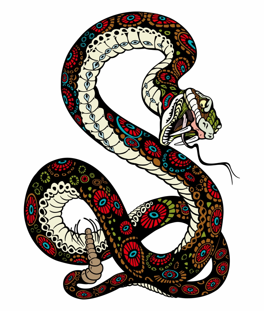 920x1080 Tiger Lion Vector Snake Illustration Free Transparent
