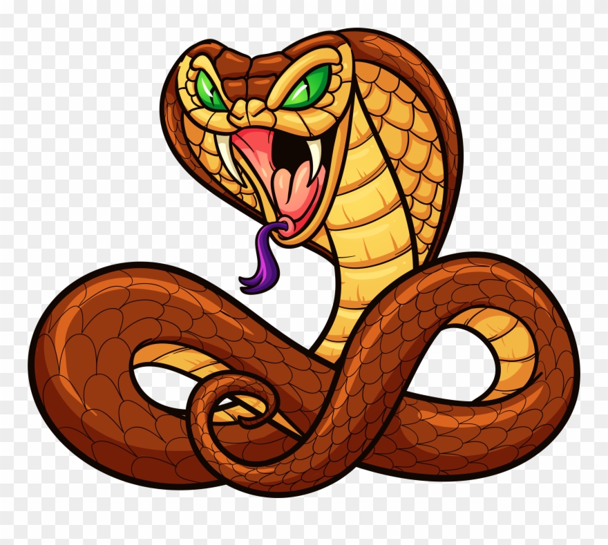880x789 Vector Download Snake Cartoon Clip Art