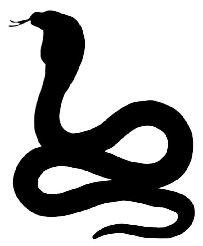 Snake Vector Png at Vectorified.com | Collection of Snake Vector Png ...