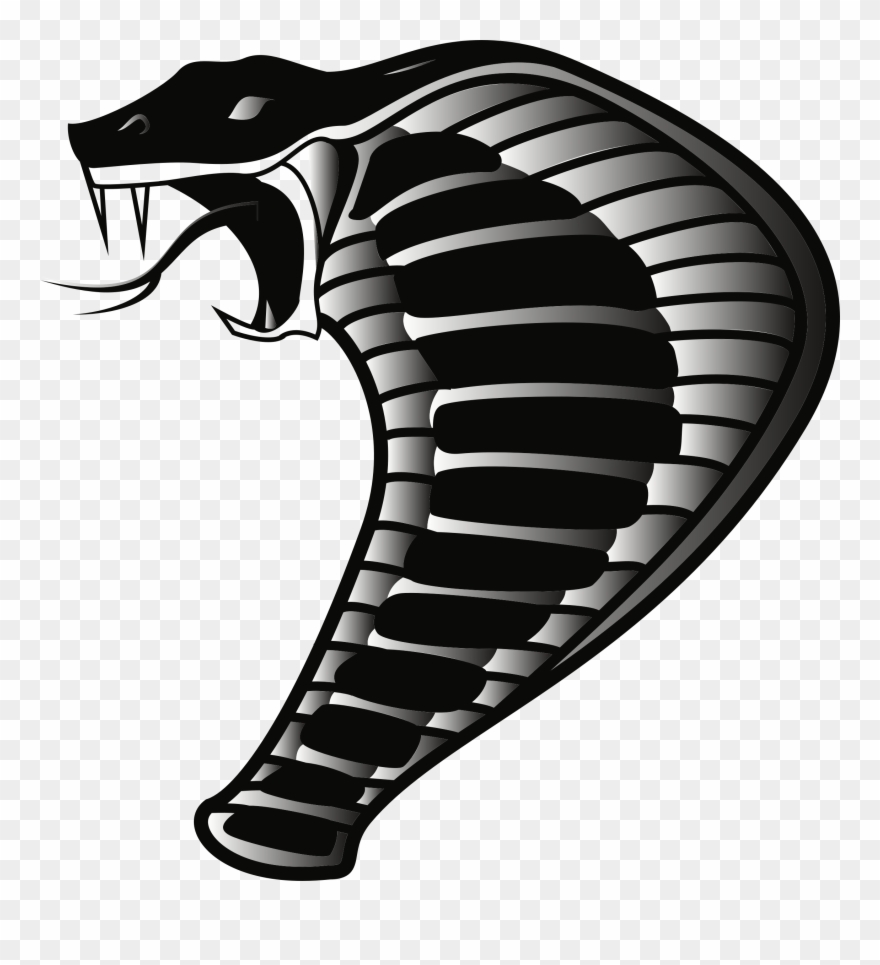 880x965 Cobra Clipart Small Snake