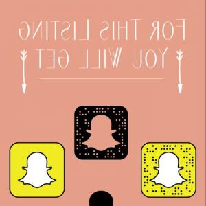 300x300 Snapchat Logo Vector Elegant Charlotte Meentzen Hoodamathrun