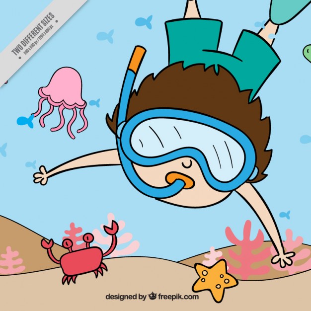 626x626 Snorkel Vectors, Photos And Free Download