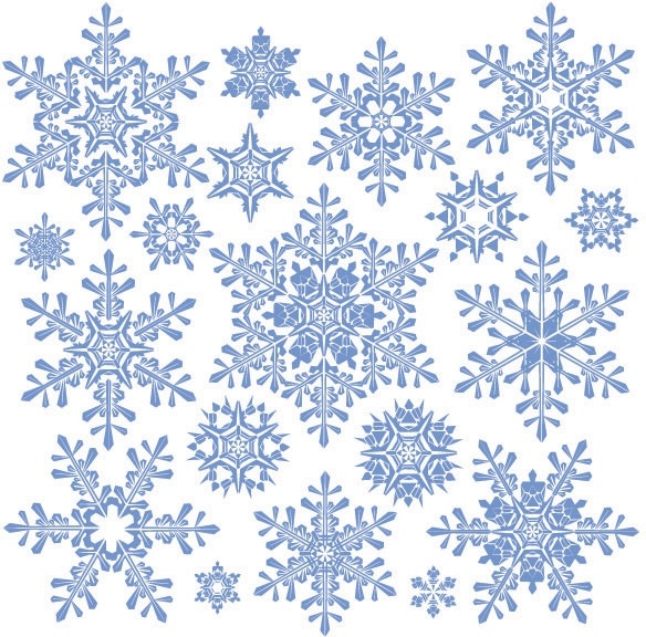 584x576 Variety Of Snowflakes Vector Free Vector In Encapsulated