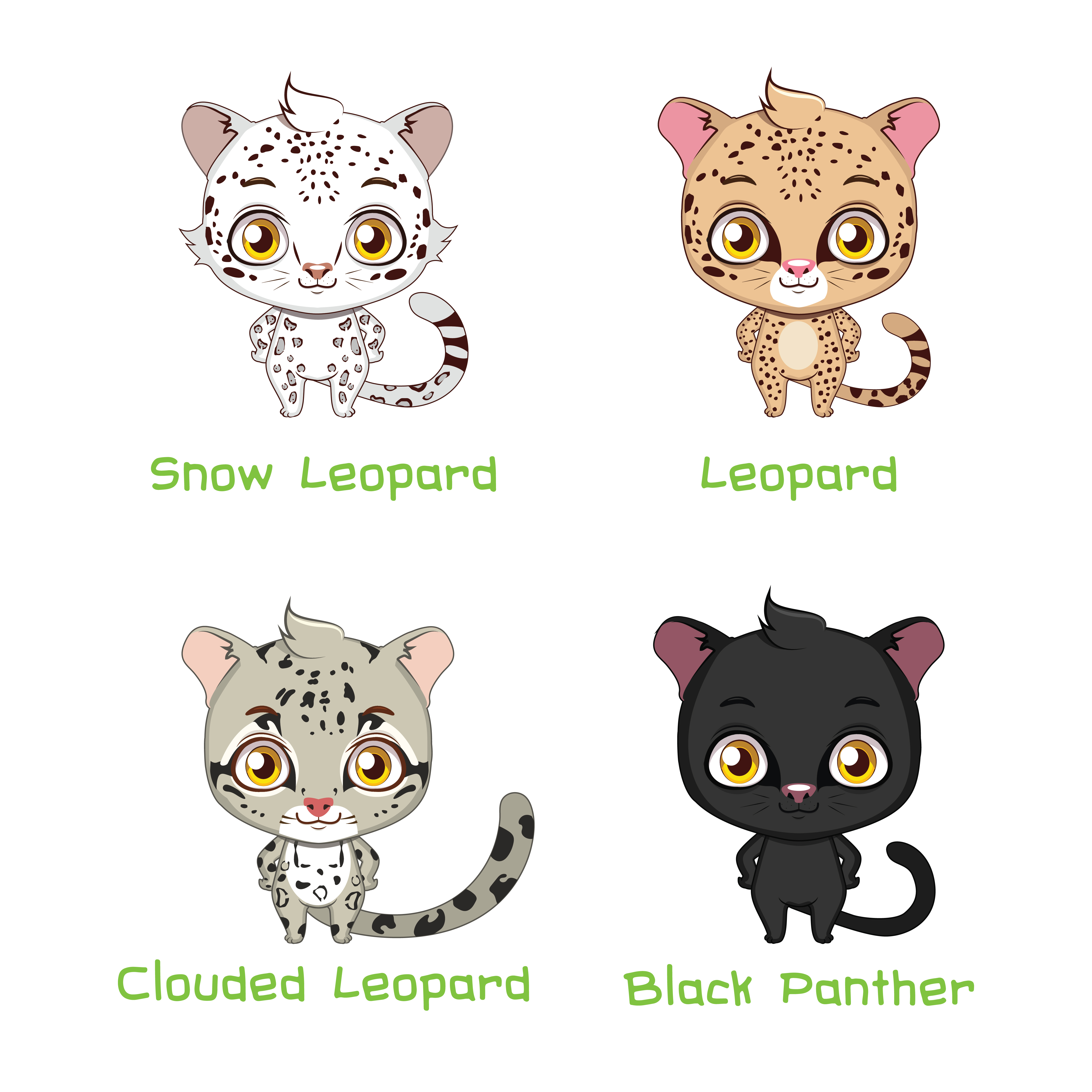 Snow Leopard Free Vector Art 5000x5000 Snow Leopard Free Vector Art
