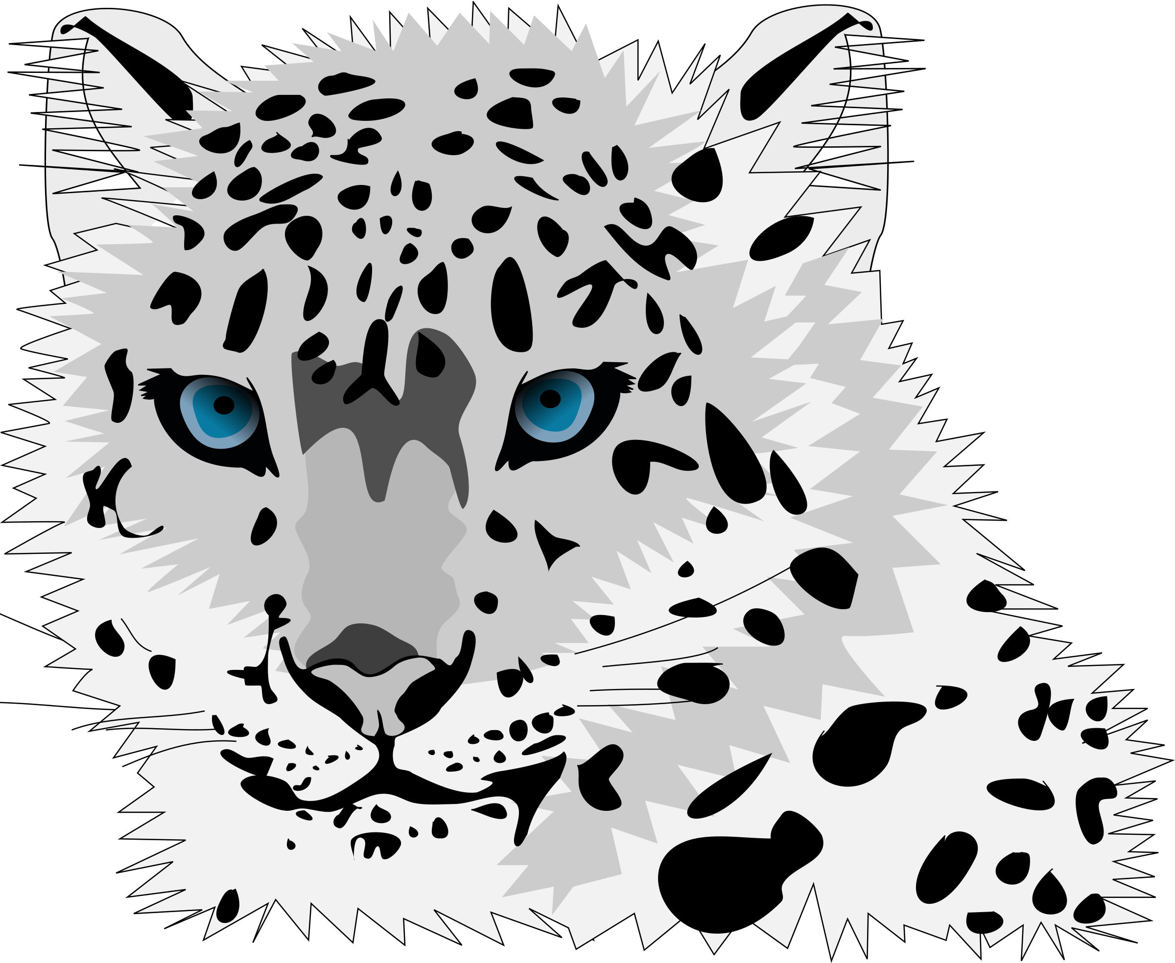 Snow Leopard Vector Graphic Image 2400x1968 Snow Leopard Vector Graphic Image