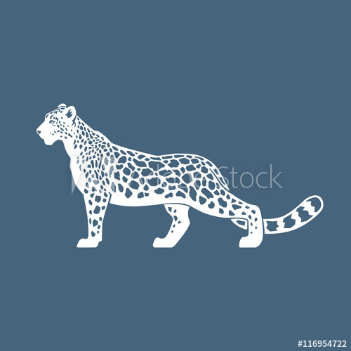 Snow Leopard Vector Illustration Logo, Sign, Emblem On Blue Back 500x500 Snow Leopard Vector Illustration Logo, Sign, Emblem On Blue Back