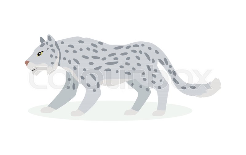 Snow Leopard Cartoon Character Cute Stock Vector Colourbox 800x504 Snow Leopard Cartoon Character Cute Stock Vector Colourbox