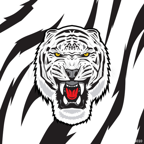 Snow Leopard Vector 500x500 Snow Leopard Vector