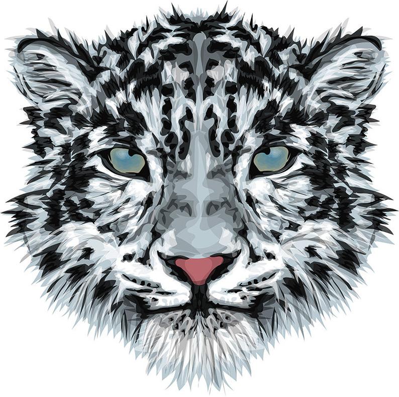 Snow Leopard Vector Stylized Vector Print Big Cat Vector Etsy 794x789 Snow Leopard Vector Stylized Vector Print Big Cat Vector Etsy