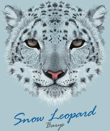 Beautiful Snow Leopard Vector Background Free Vector 381x455 Beautiful Snow Leopard Vector Background Free Vector