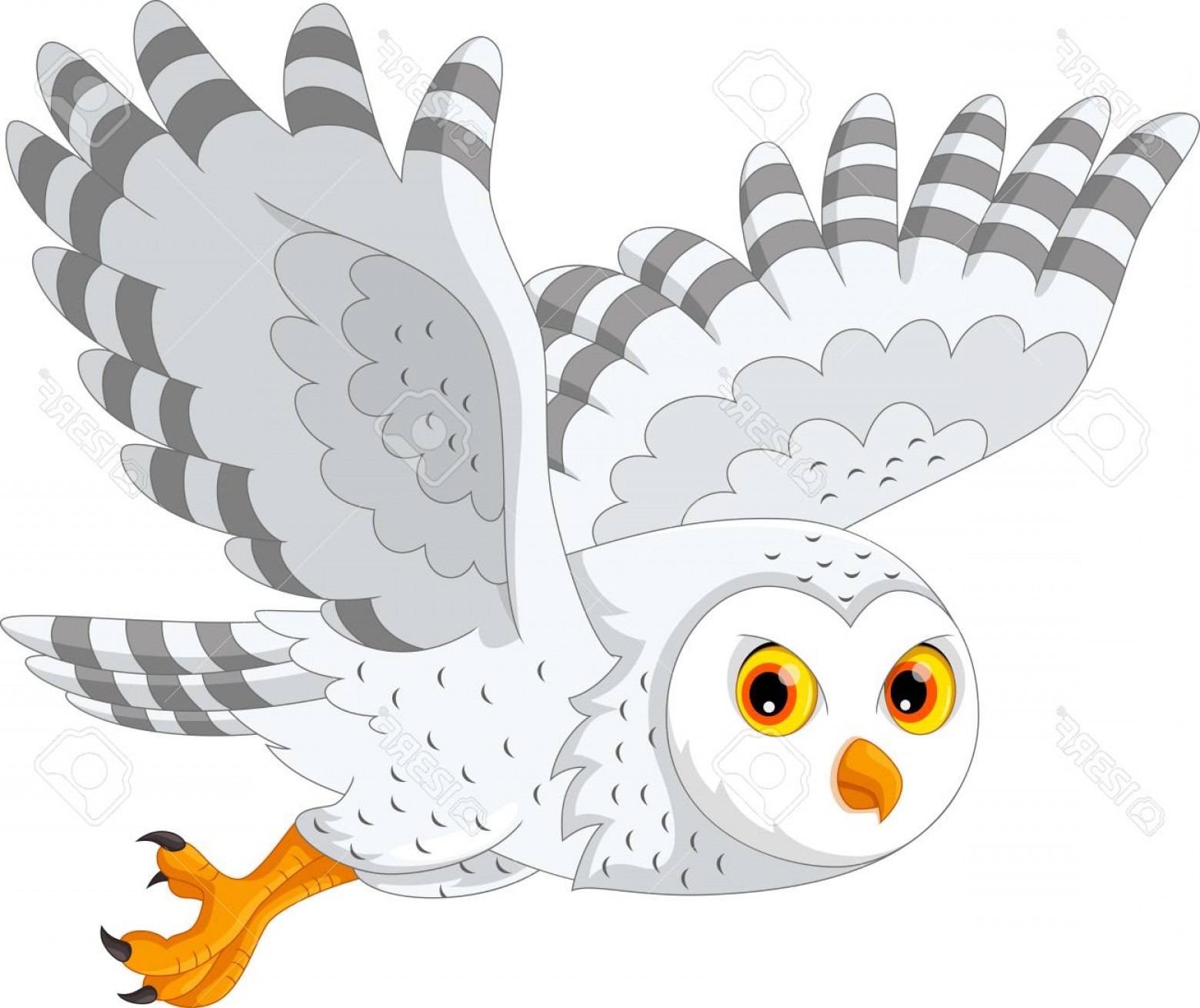 Flying Owl Vector Art Catchsplace 1560x1310 Flying Owl Vector Art Catchsplace