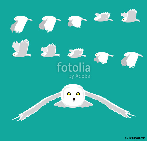 500x480 Snowy Owl Flying Animation Sequence Cartoon Vector Stock Image