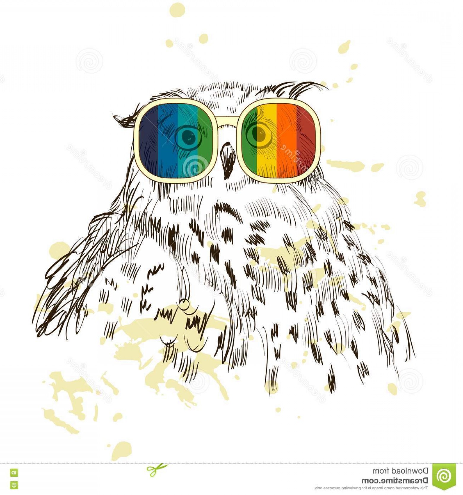 Stock Illustration Vector Retro Owl Sketch Owls Glasses 1560x1668 Stock Illustration Vector Retro Owl Sketch Owls Glasses
