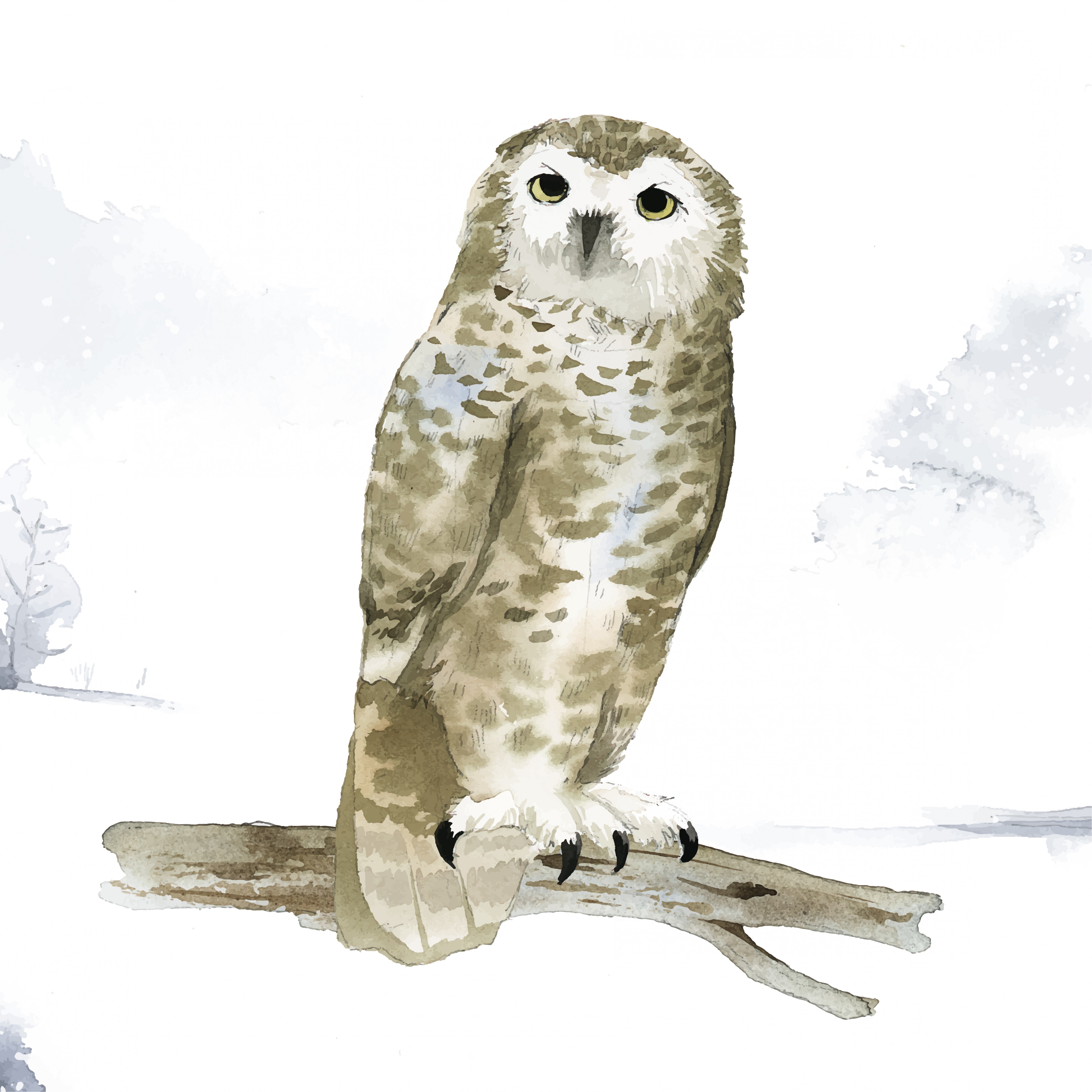 Download Snowy Owl Vector at Vectorified.com | Collection of Snowy ...