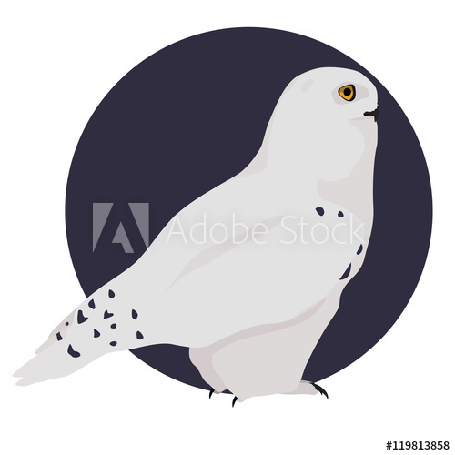 White Polar Owl Vector Illustration Snowy Owl On Blue Background 500x500 White Polar Owl Vector Illustration Snowy Owl On Blue Background