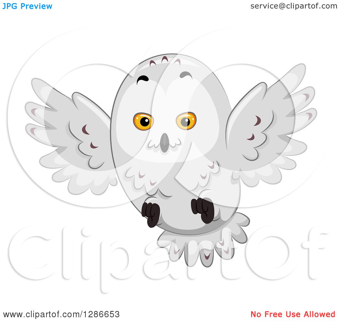 Clipart Of A Snowy Owl Flying 1080x1024 Clipart Of A Snowy Owl Flying