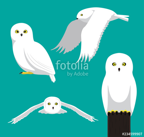 Cute Snowy Owl Cartoon Vector Illustration Stock Image 500x475 Cute Snowy Owl Cartoon Vector Illustration Stock Image
