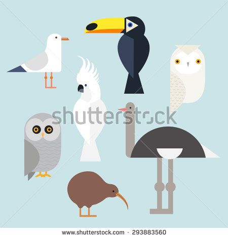 450x470 Different Birds Icons Set Include Seagull, Cockatoo, Toucan, Snowy