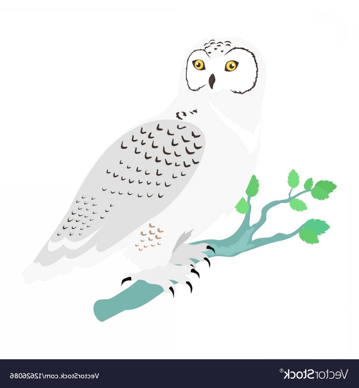 Flying Owl Vector Catchsplace 1200x1296 Flying Owl Vector Catchsplace