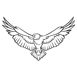300x300 Soaring Eagle Line Art Clipart, Cliparts Of Soaring Eagle Line Art