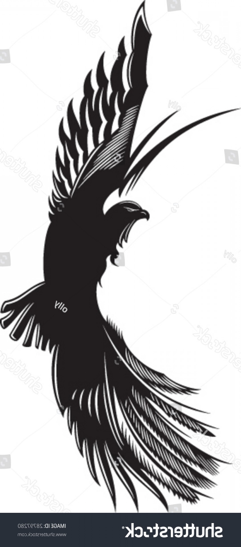 846x1920 Soaring Eagle Vector Art Savoyuptown