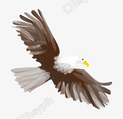400x386 Soaring Png