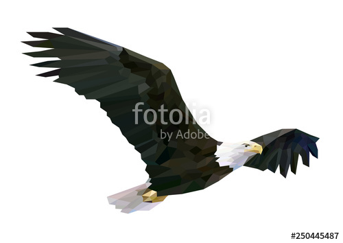 500x354 Soaring Eagle Stock Image And Royalty Free Vector